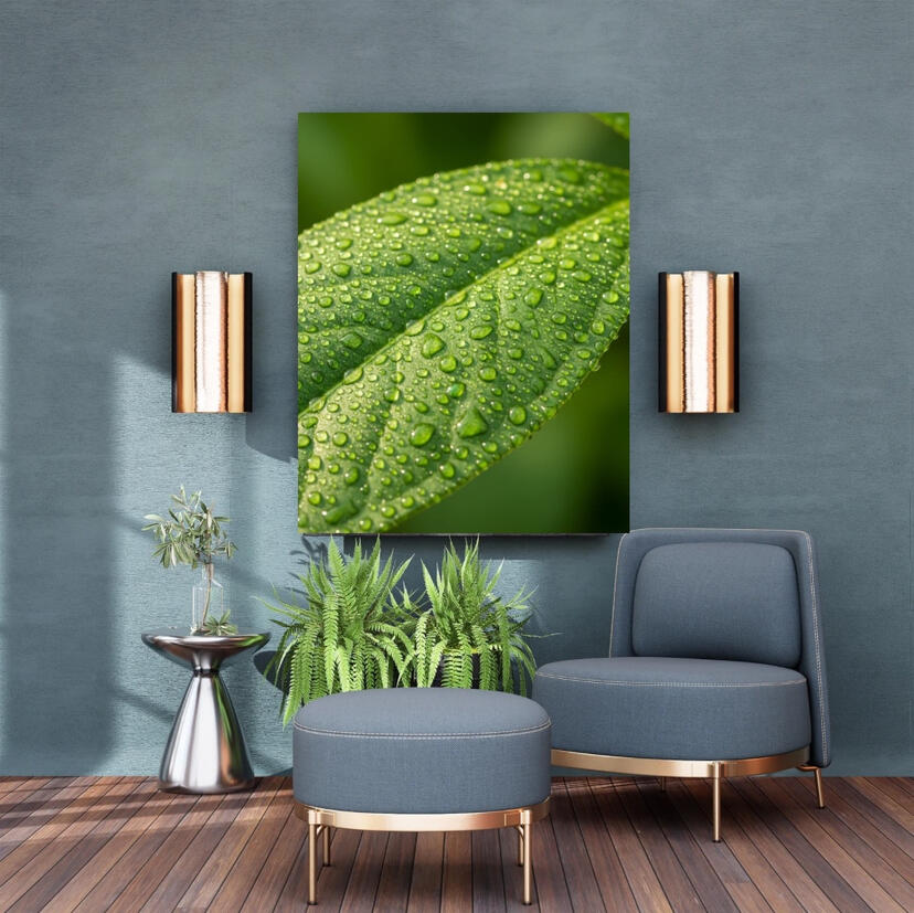 Gros plan d'une feuille verte couverte de gouttes de rosée cristallines, photographie de nature pour décoration zen par Chashab Grapho.